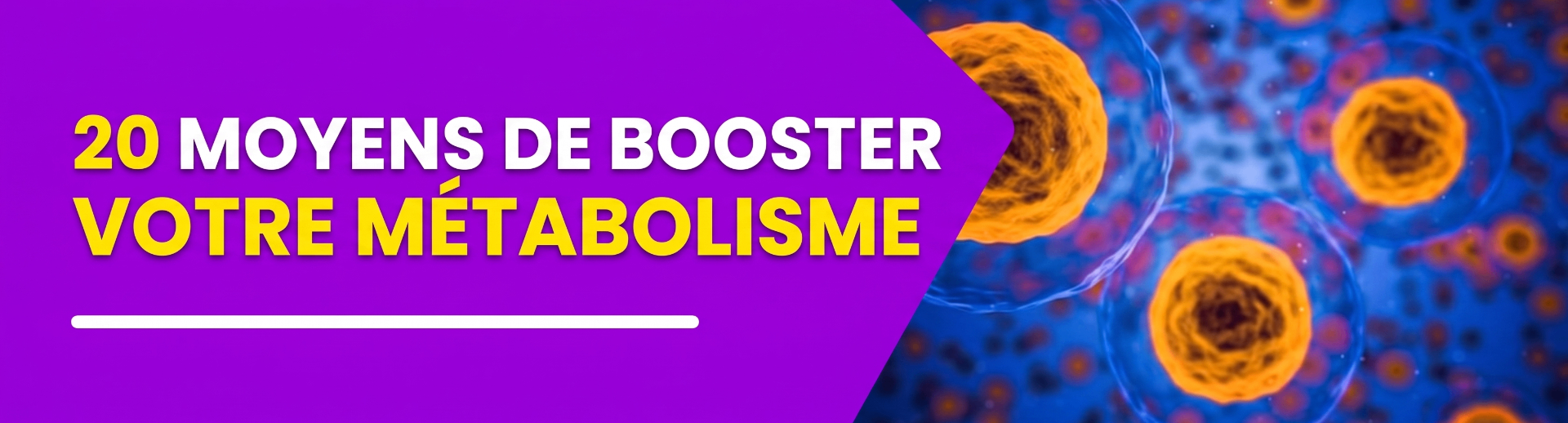 20 façons d'accélérer votre métabolisme